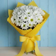 Букет цветов из:  Хризантемы в Жиздре