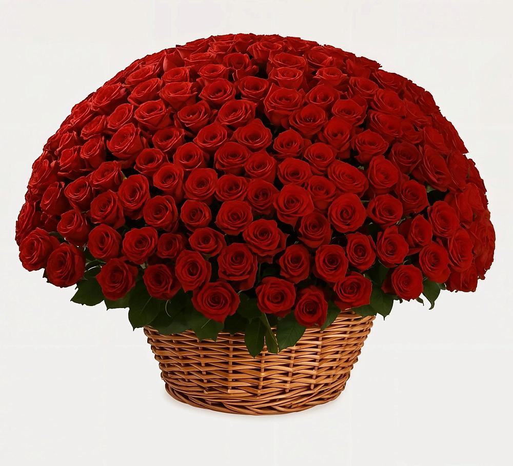 Премиум букет из: Розы в Жиздре