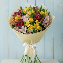 Букет цветов из:  Альстромерии в Жиздре