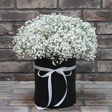 Цветочная композиция из Гипсофила в шляпной коробке #REPLACE_PRED# Жиздре