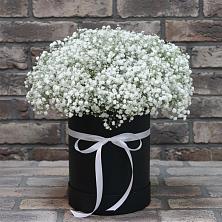 Цветочная композиция из Гипсофила в шляпной коробке в Жиздре